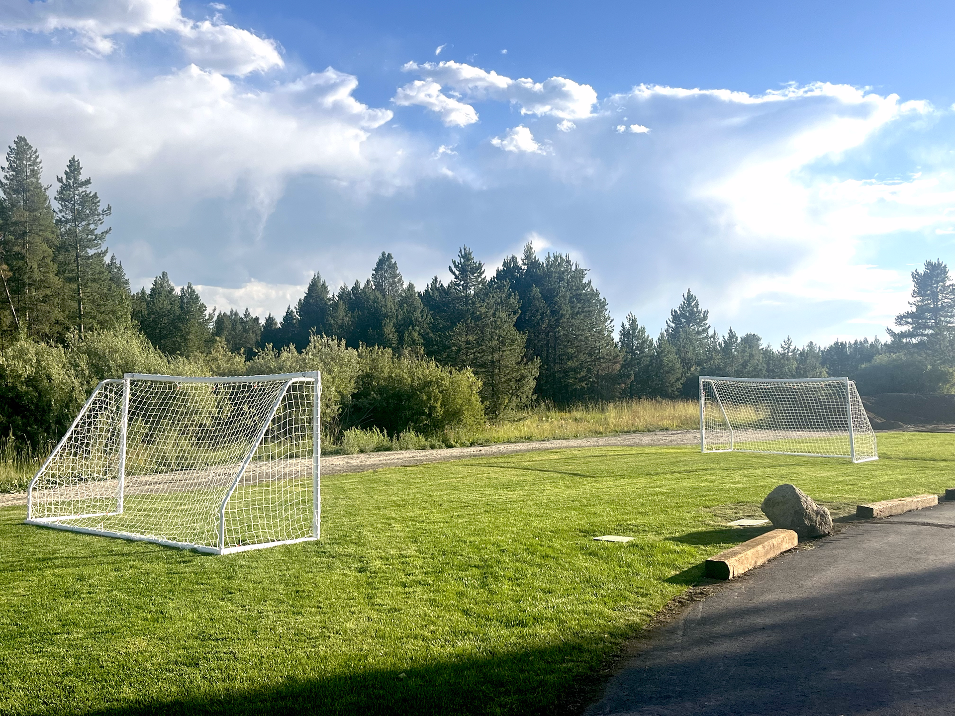 Two white soccer goals on a grassy field with trees in the background under a cloudy sky.