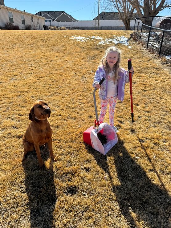 A little girl is standing next to a dog in a field.