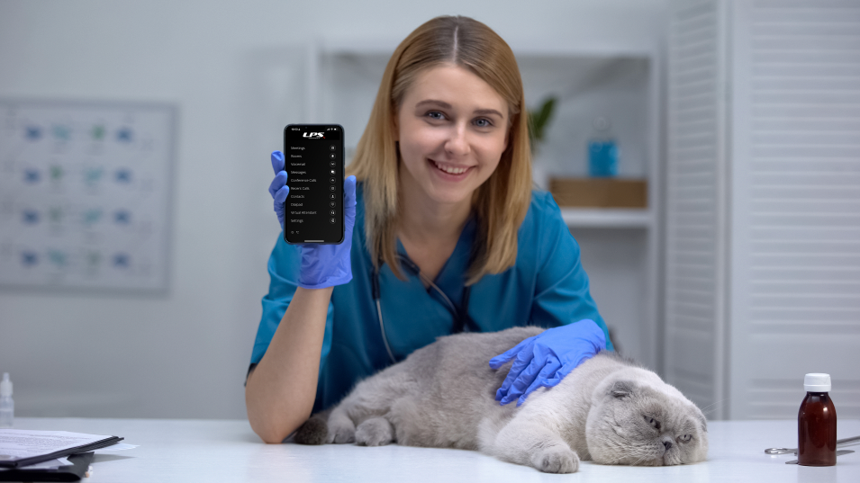 A female veterinarian is holding a cell phone next to a cat