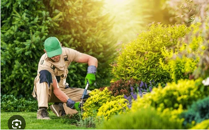 A pile of dirt with a tree in the background.