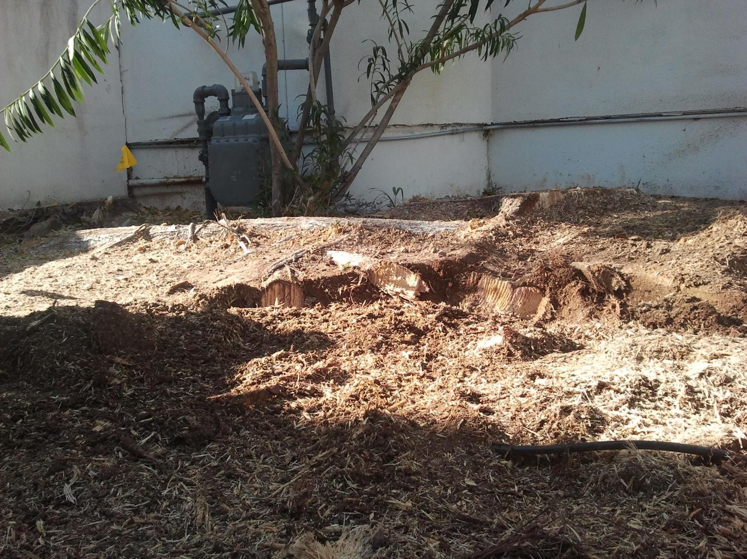 A pile of dirt with a tree in the background.
