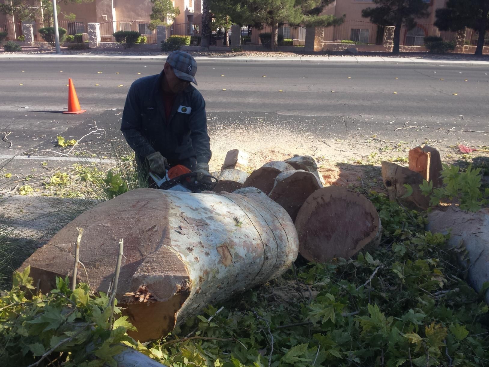 A man is cutting a large log with a chainsaw.