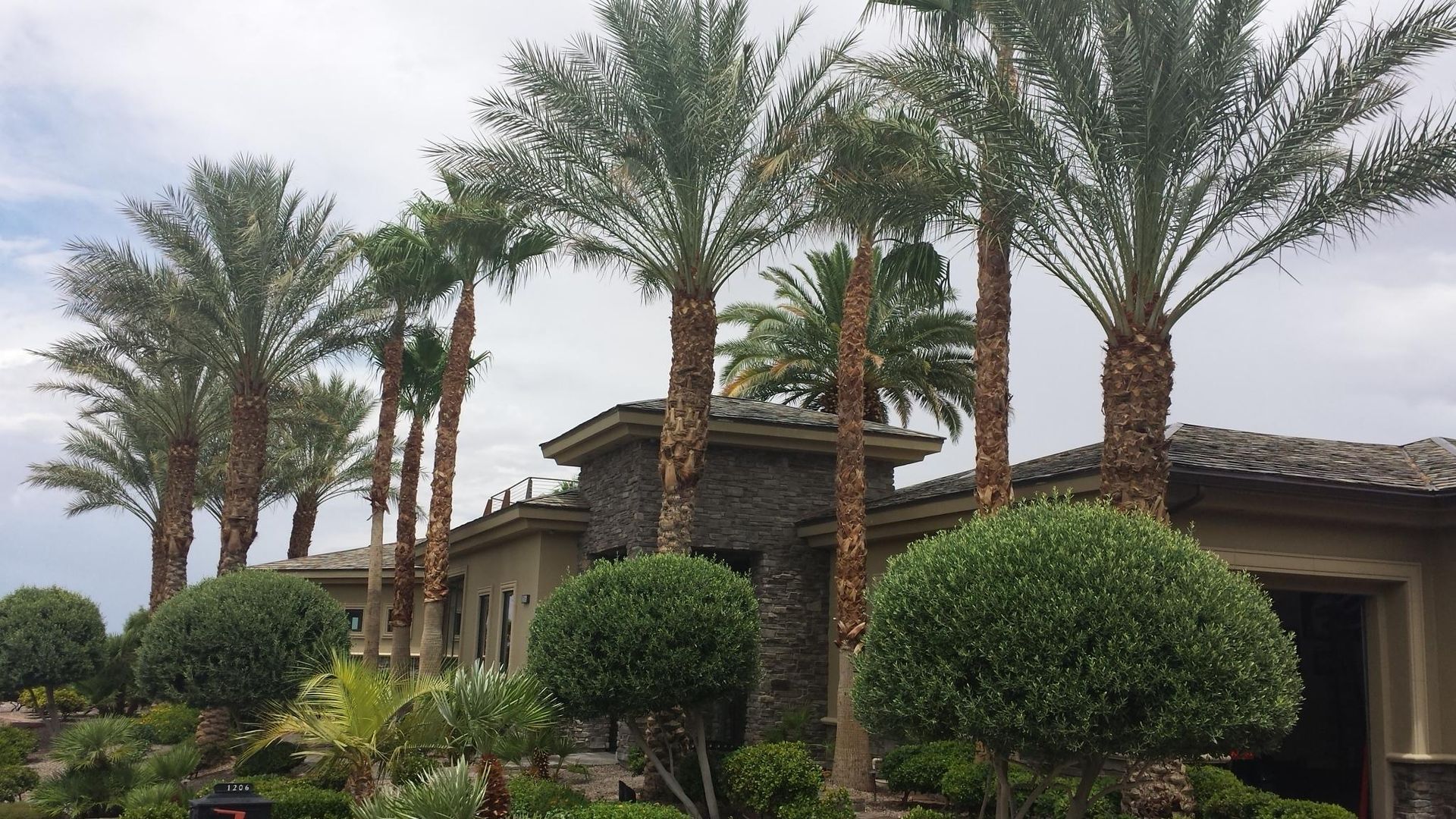 A pile of dirt with a tree in the background.
