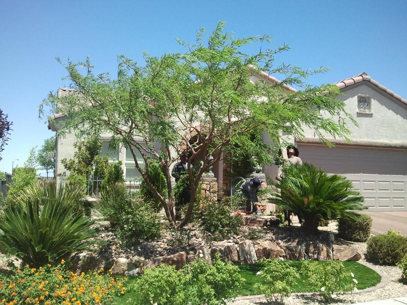 A house with a lot of trees in front of it.