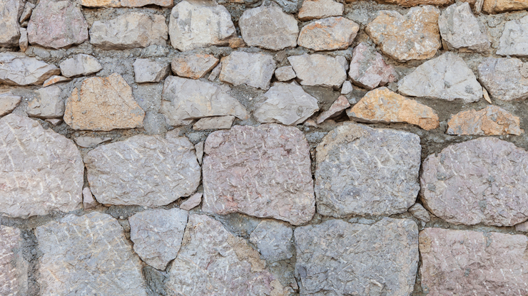Lawn sprinkler spraying water on green grass in a yard with bushes and trees.