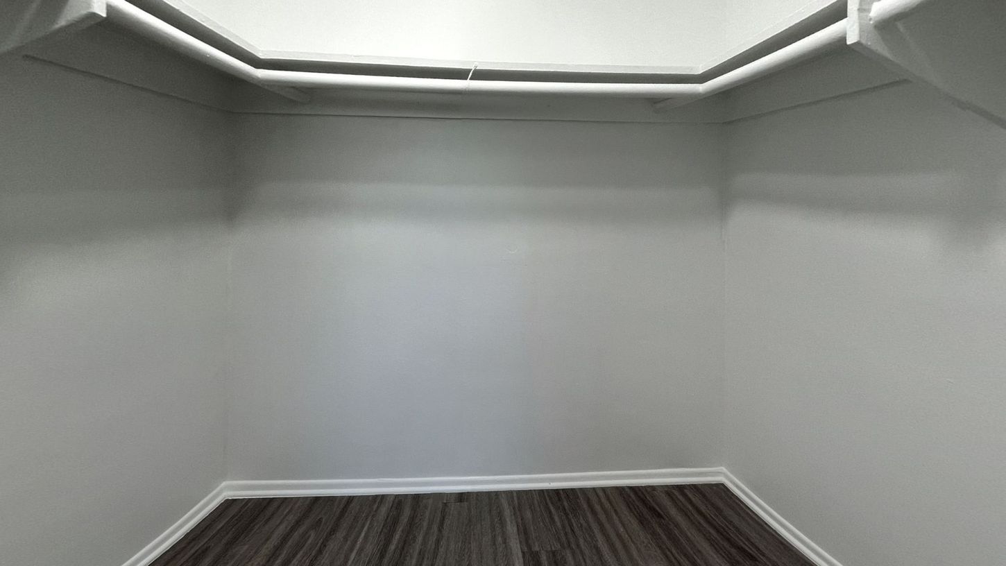 Empty walk-in closet with white walls, dark wood-look floor, and a shelf and clothes rod.