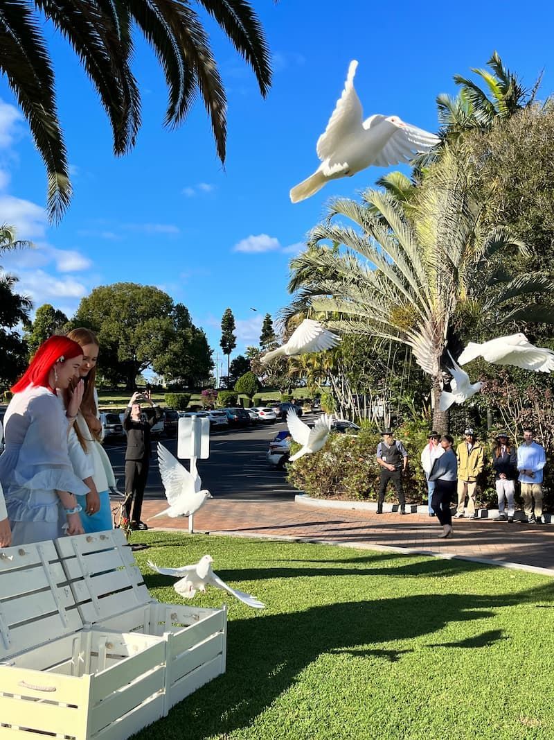 A group of people are watching a flock of white pigeons flying in the air - Funeral Services in Upper Coomera, QLD
