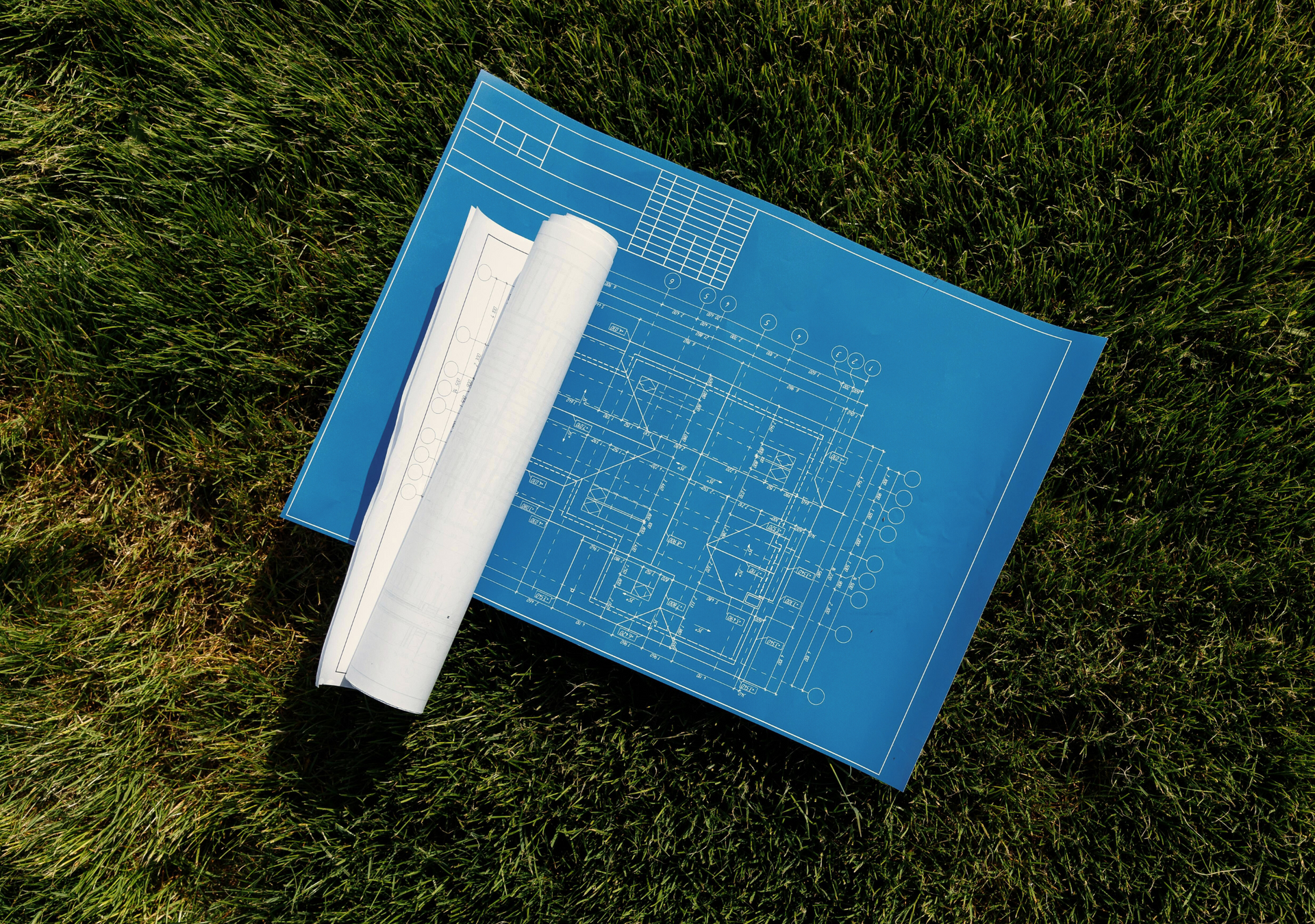 A path leading through a lush green forest with stairs.