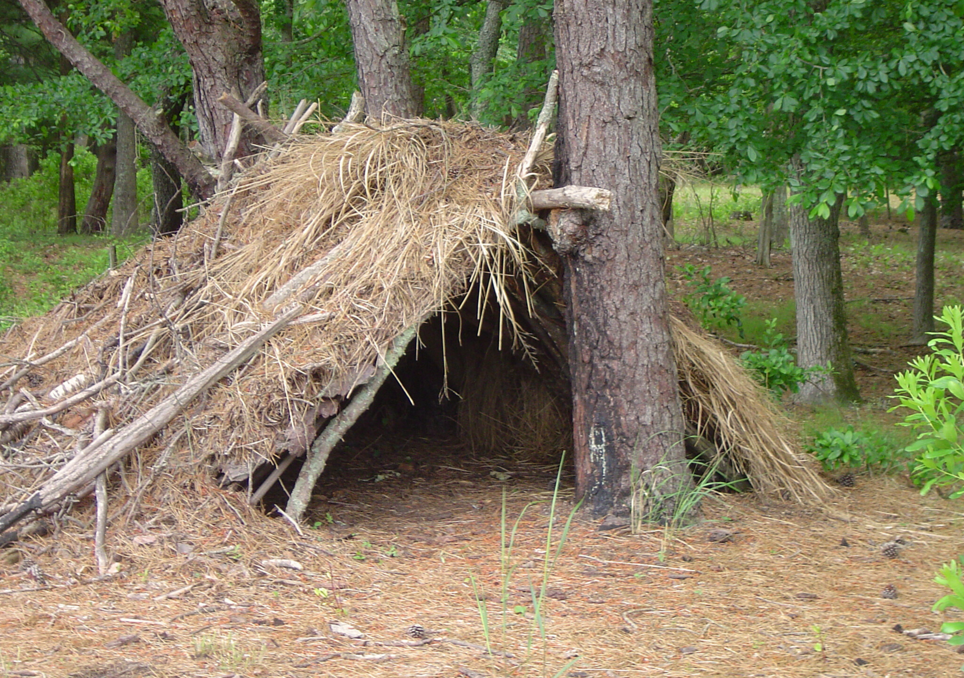 A small hut made of hay and branches in the middle of a forest.