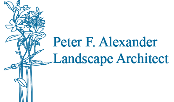 Alexander Affiliates Logo