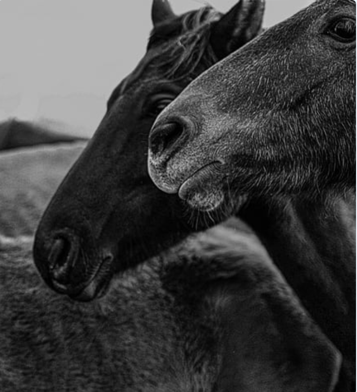 IFIO relatie weekend