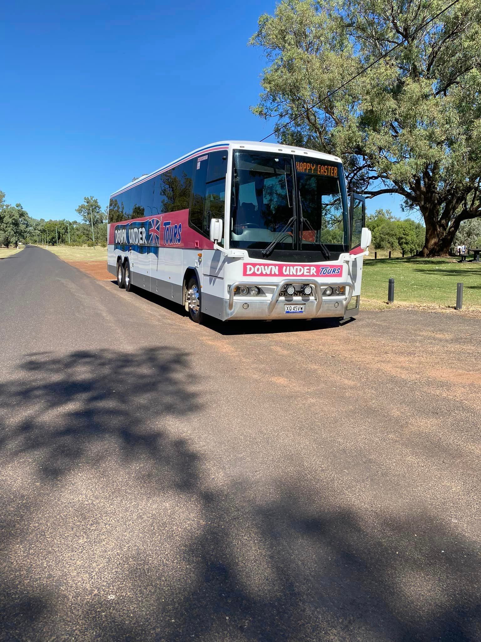 down under bus tours