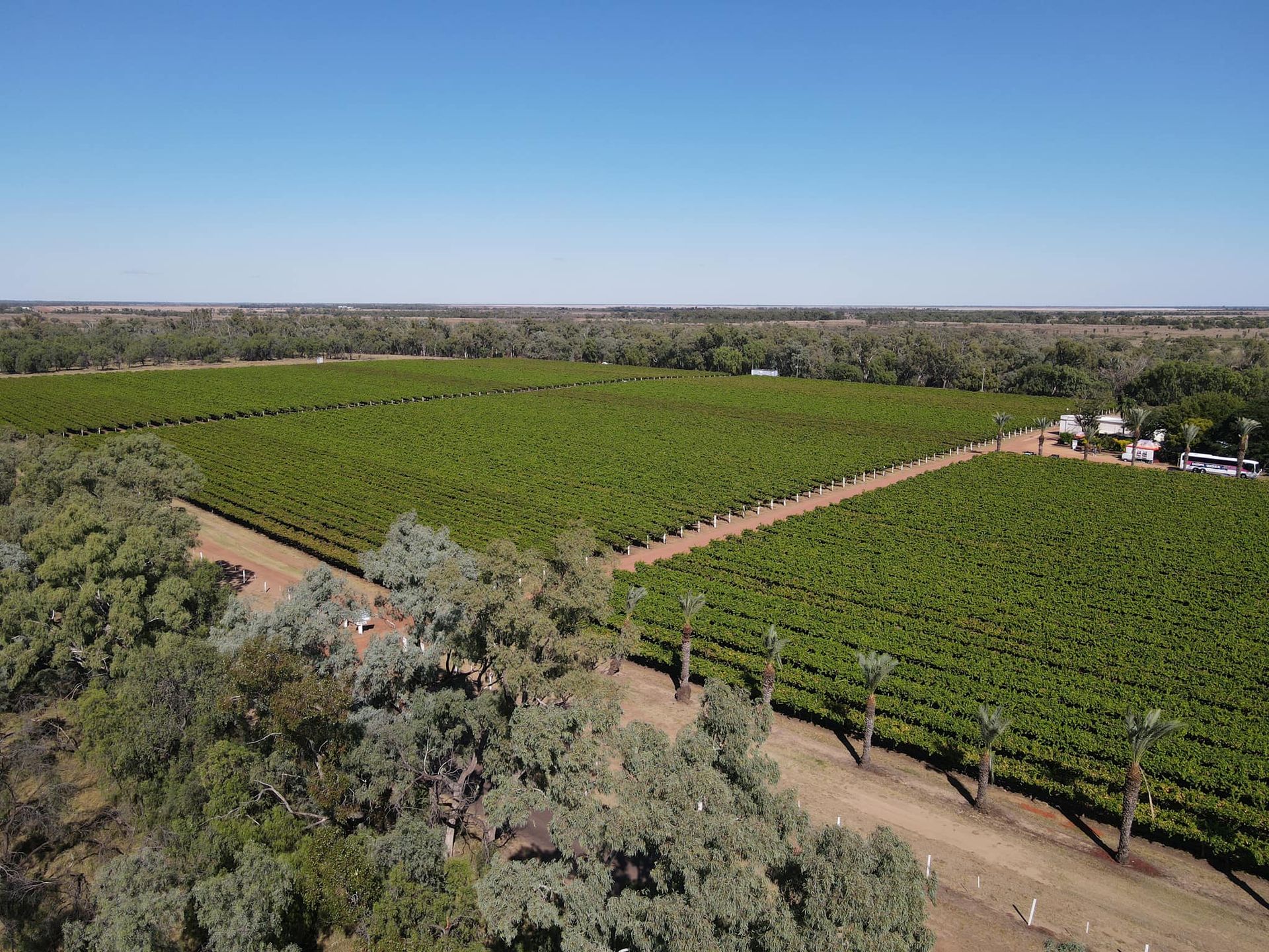 Riversands Wines Vineyard — Queensland, AUS — Down Under Tours