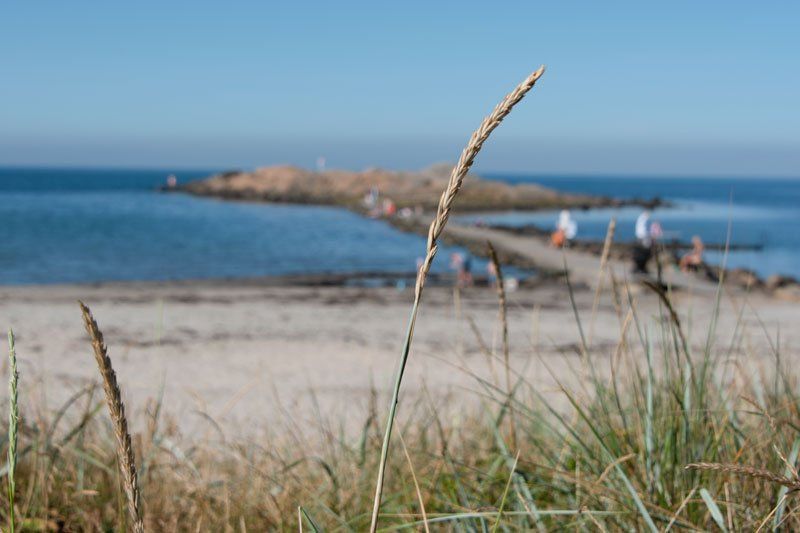 Göstas café & restaurang