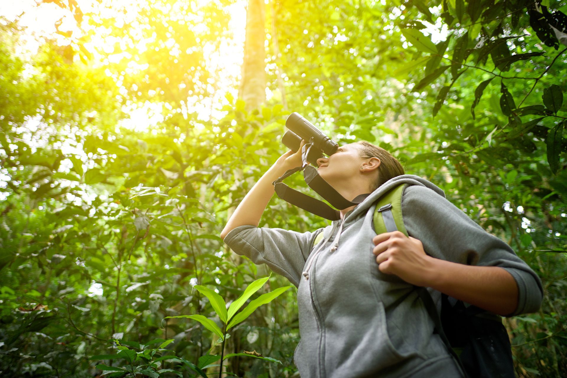 A Woman is Looking Through Binoculars in the Woods