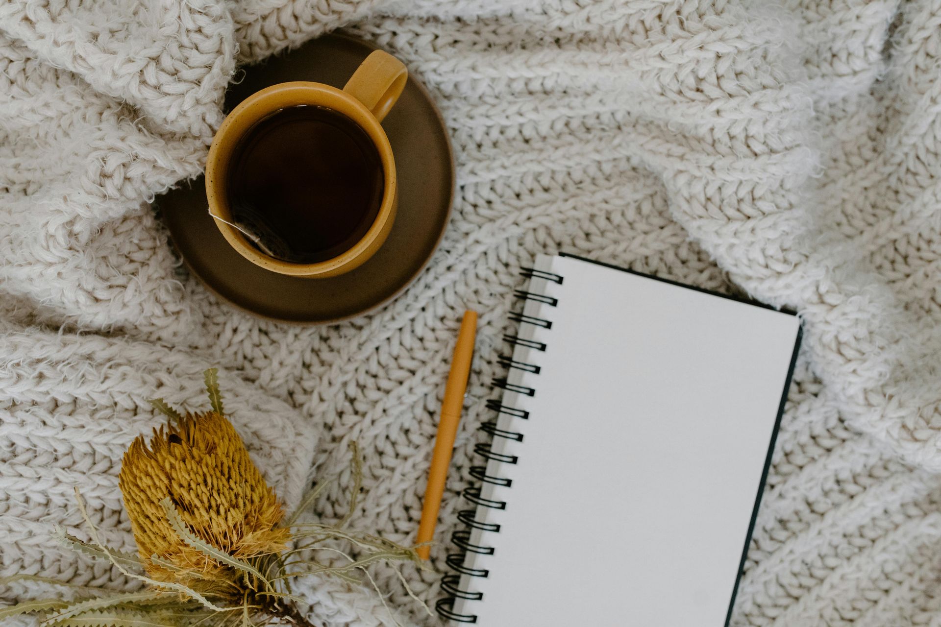 Cup of coffee, open notebook, and pencil on a knitted blanket; warm, inviting scene.