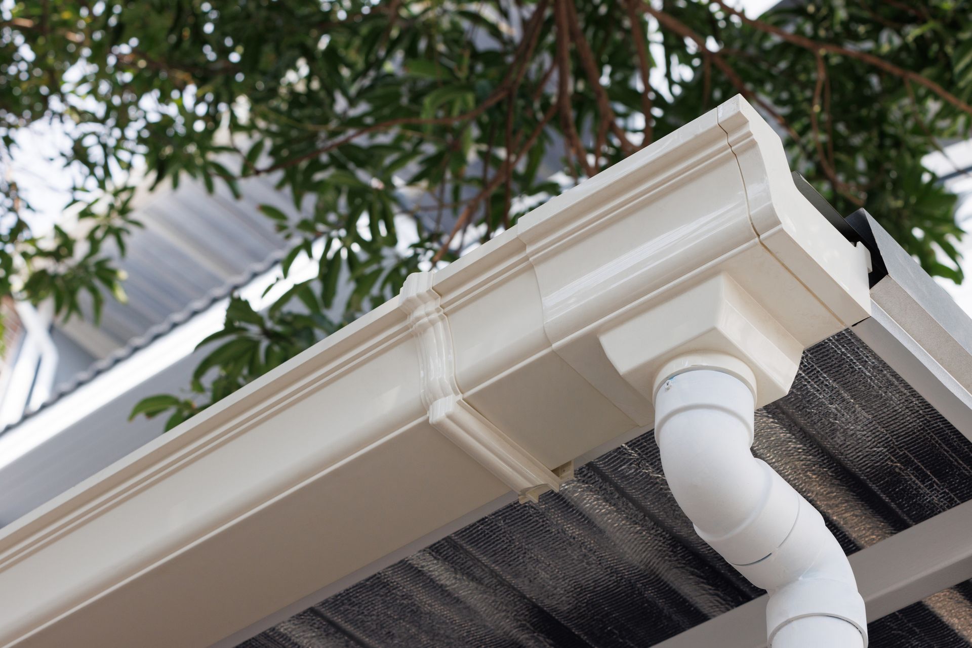 White rain gutter and downspout attached to a roof, under a leafy tree.