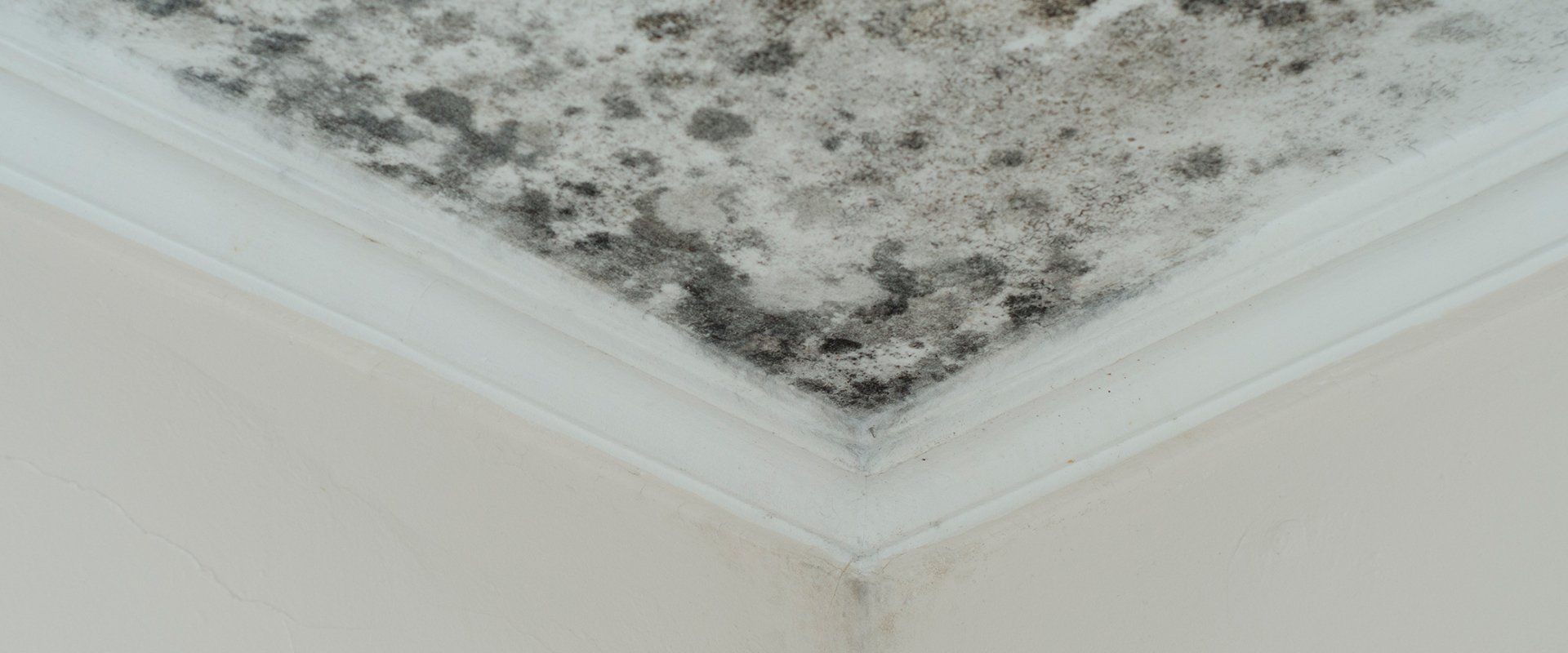 Person with Protective Suit Removing Asbestos — Oklahoma City, OK — Marshall Environmental Management