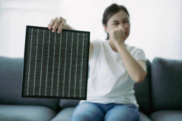 Young woman holding a dirty air purifier filter in the living room.