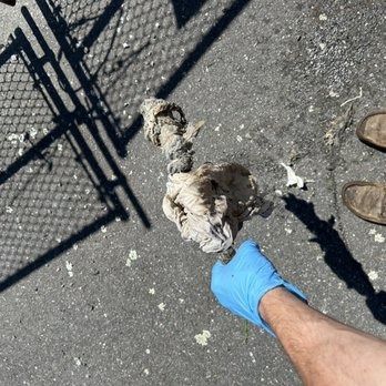 Person in blue glove holding a clump of dirty material on asphalt near fence. Brown boots in corner.