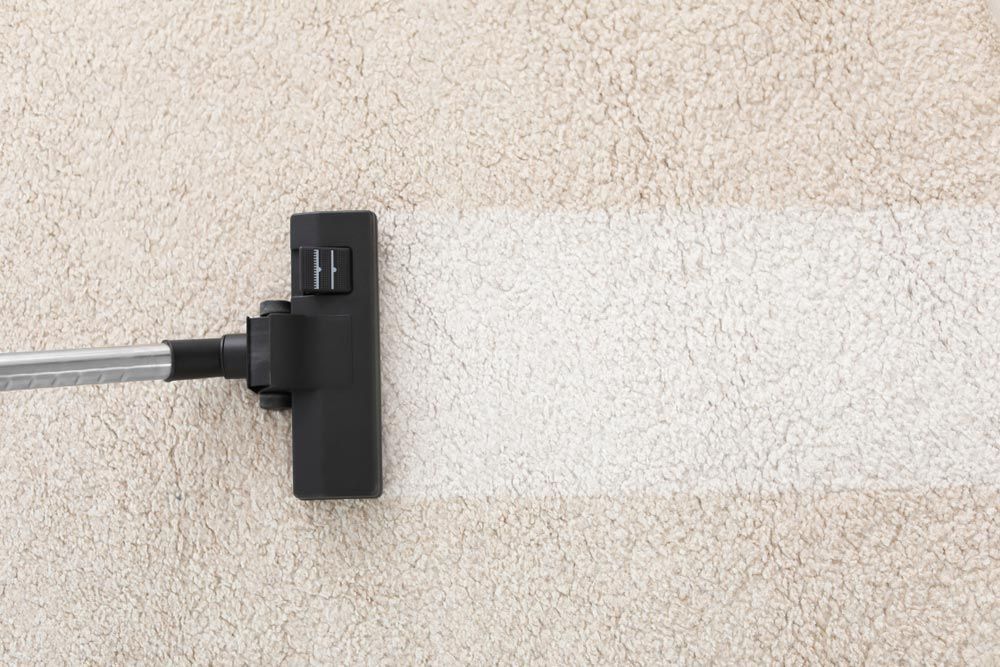 Professional Vacuum Cleaning On A Luxurious Carpet — Big Red Carpet & Property Maintenance In Bowen, QLD