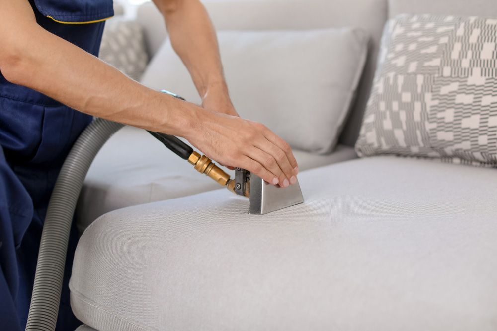 Dry Cleaning Worker Removing Dirt From Sofa Indoors — Experienced Cleaner in Collinsville, QLD