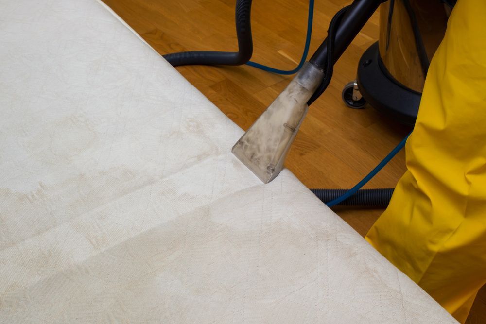 A Person Is Cleaning A Couch With A Vacuum Cleaner — Big Red Carpet & Property Maintenance In Bowen, QLD