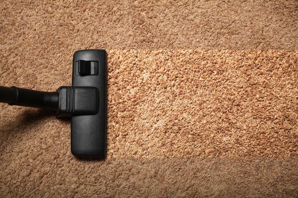 Vacuum Cleaner On Carpet In The Room — Big Red Carpet & Property Maintenance In Airlie Beach, QLD