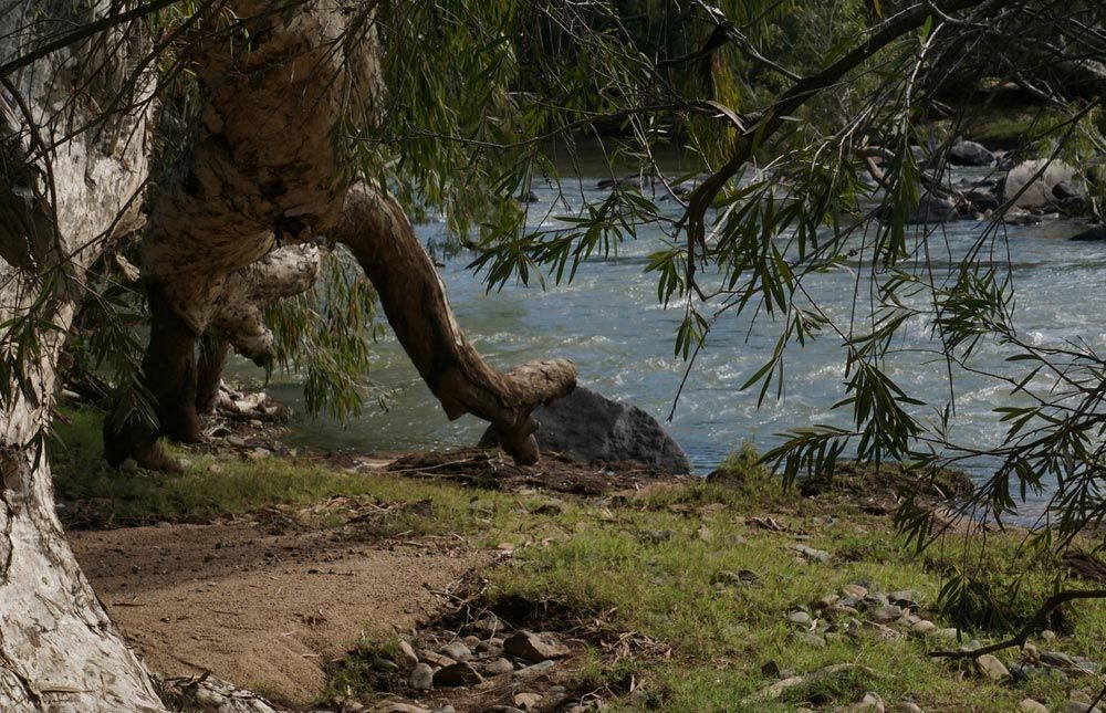 Creek Side View Of Terrible Creek — Experienced Cleaner in Collinsville, QLD