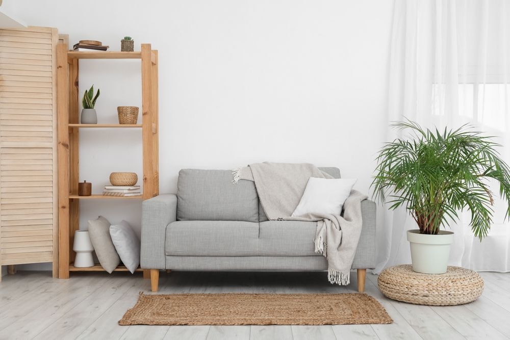 A Living Room With A Couch, Rug And Potted Plants — Big Red Carpet & Property Maintenance In Airlie Beach, QLD