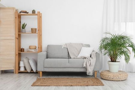 A Living Room With A Couch, Rug And Potted Plants — Big Red Carpet & Property Maintenance In Bowen, QLD