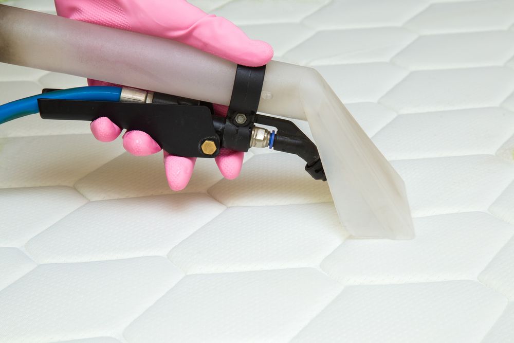 A Man Cleaning Carpet With Vacuum Cleaner — Big Red Carpet & Property Maintenance In Bowen, QLD
