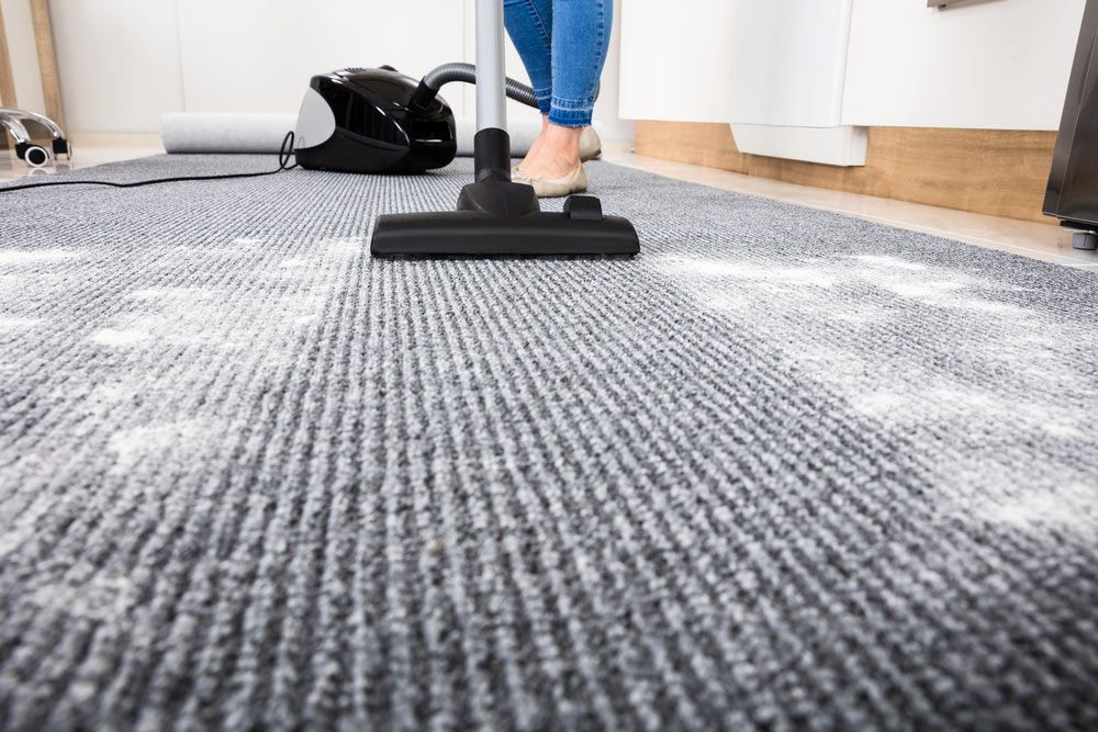 A Woman Cleaner Vacuum Cleaning Dirt in Carpet — Big Red Carpet & Property Maintenance In Bowen, QLD