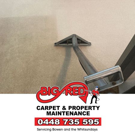 Steam Carpet Cleaning — Big Red Carpet & Property Maintenance In Bowen, QLD