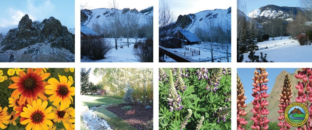 A collage of pictures of flowers and mountains