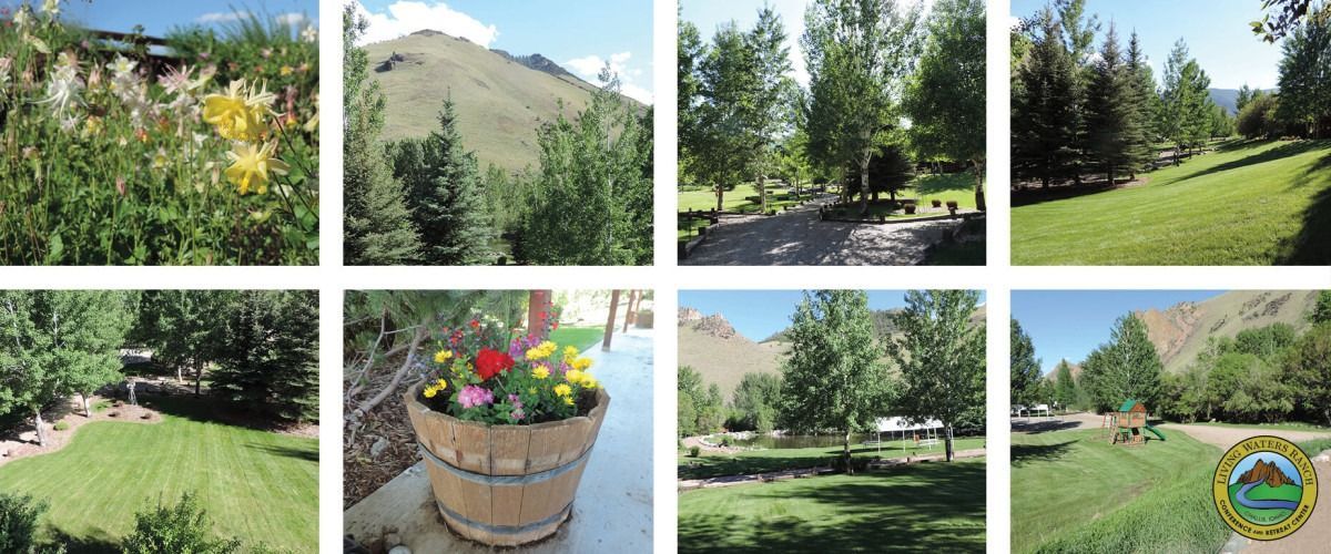 A collage of pictures of a park with trees and a bucket of flowers