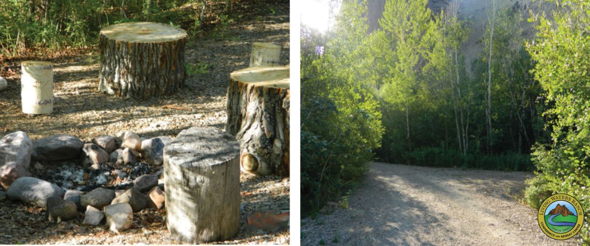 A fire pit and a dirt road in the woods