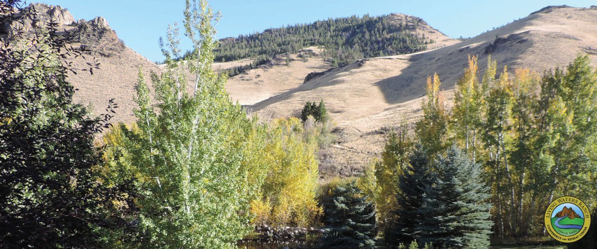 A blurred image of a forest with mountains in the background.