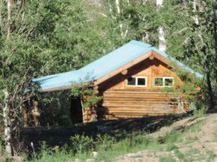 A small log cabin with a blue roof is surrounded by trees.