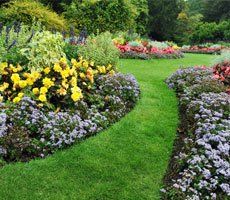Well maintained garden with grass pathway going through flower borders