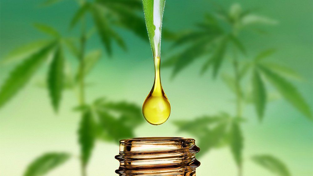 Green cannabis leaves with a droplet falling into a bottle opening