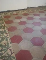 Pavimento in piastrelle esagonali rosse e grigie, con bordo floreale verde.