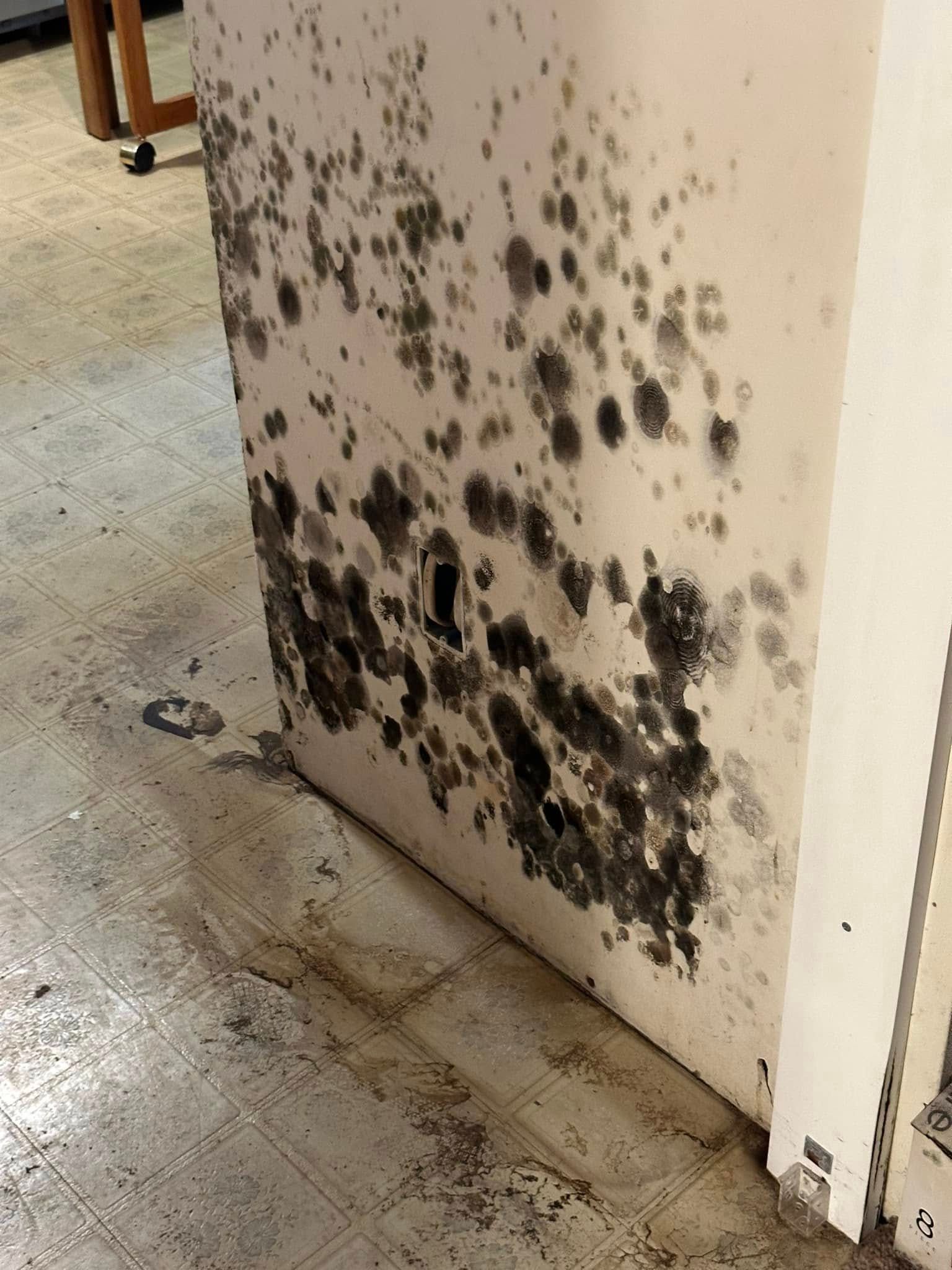 A wall with a lot of black mold on it.