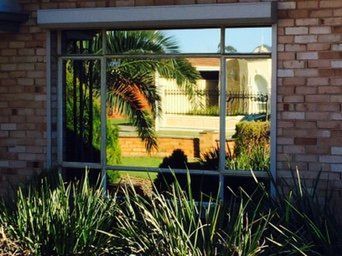A Brick Building With A Reflection Of A Palm Tree In The Window – Adelaide, SA - Sola Bloc Window Tinting