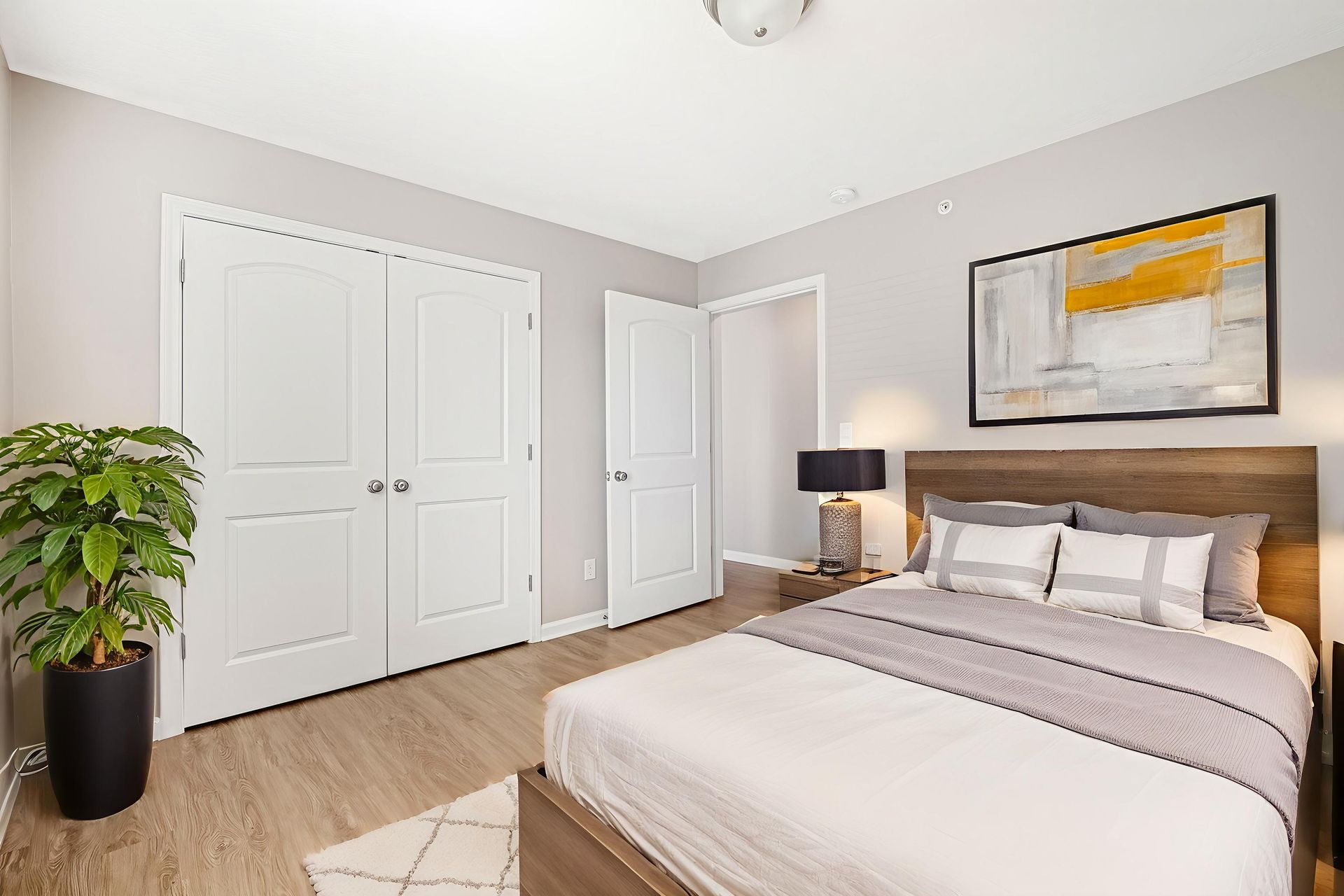 Bedroom with a bed, white closet doors, artwork, a potted plant, and a rug. Light gray walls and wooden floors.