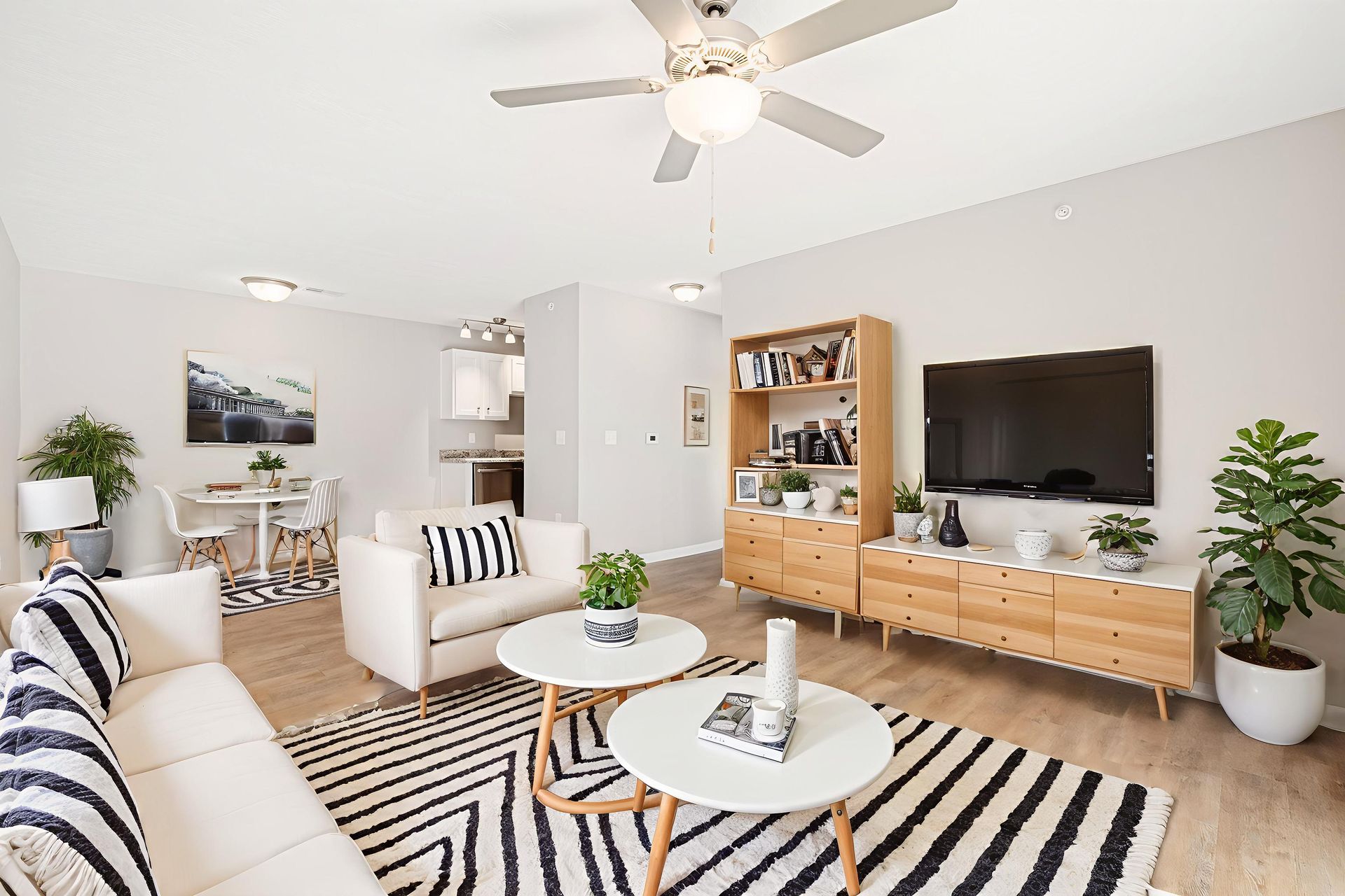 Living room with white sofa, black and white rug, wooden TV stand, and plants.