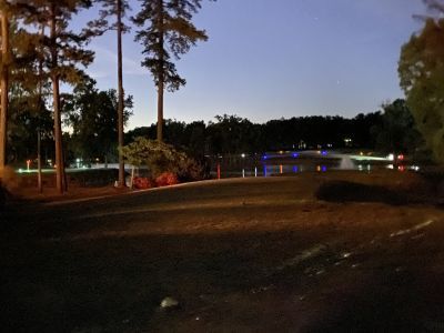 A blurred image of a lake at night with trees in the foreground