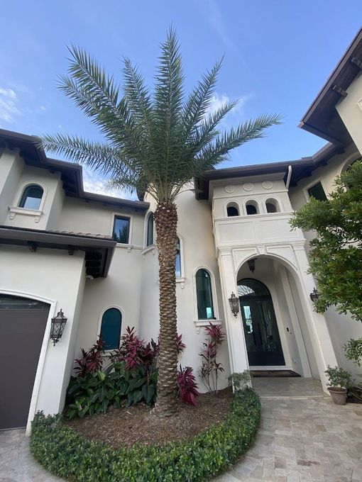 A large white house with a palm tree in front of it.