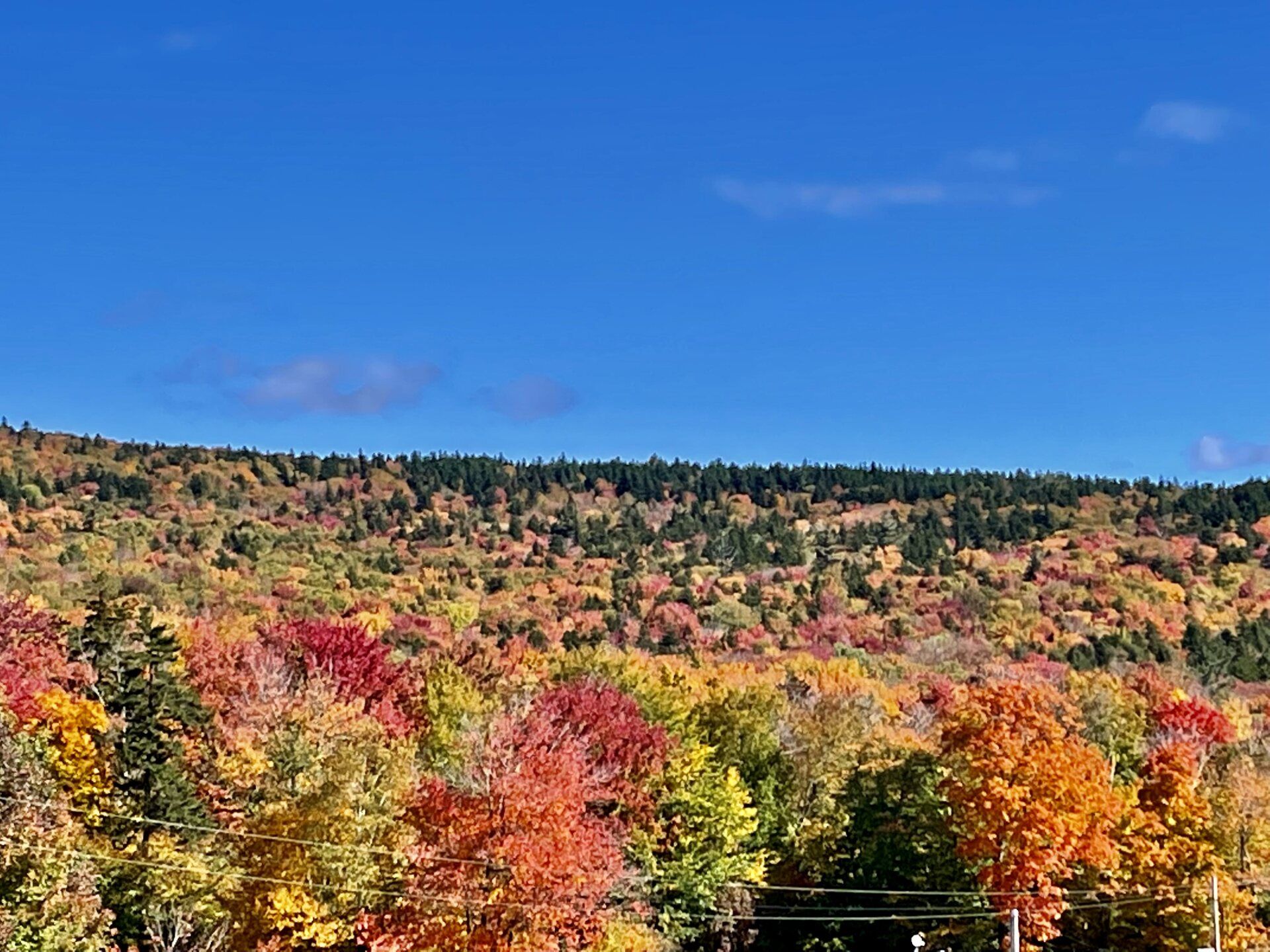 Hoosac Range Cabins | Downtown Florida | North Adams, MA.