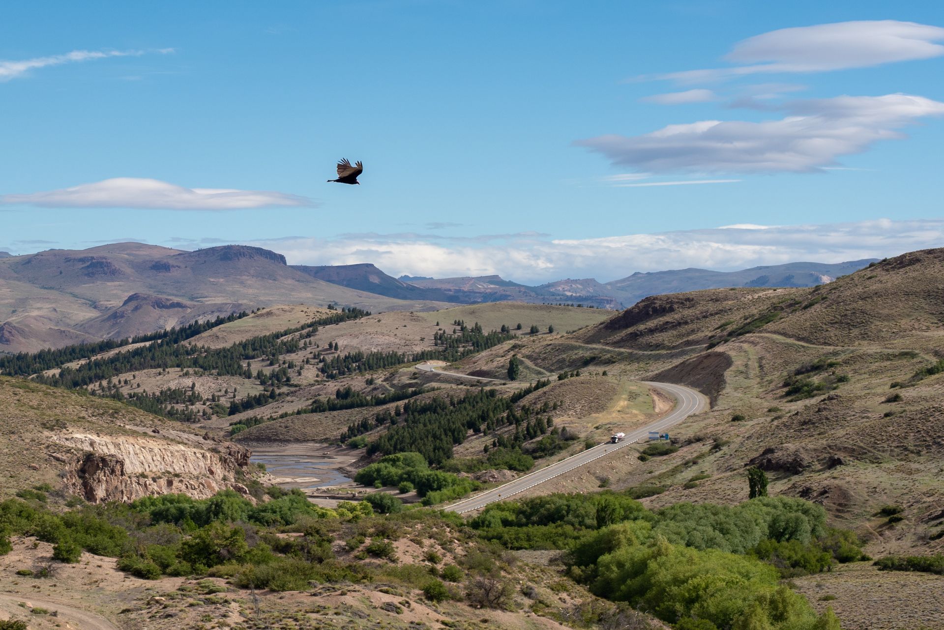 A bird is flying over a valley with mountains in the background.